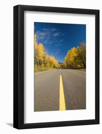 Empty Road through Autumn Forest, Minnesota-PhotoImages-Framed Photographic Print