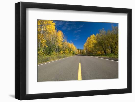 Empty Road through Autumn Forest, Minnesota-PhotoImages-Framed Photographic Print
