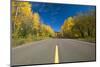 Empty Road through Autumn Forest, Minnesota-PhotoImages-Mounted Photographic Print