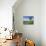 Empty Road with Tree and Wild Flowers Near Montpeyroux, Herault, in Languedoc Roussillon, France-Michael Busselle-Photographic Print displayed on a wall