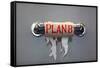 Empty Roll Of Toilet Paper With The Phrase Plan B, Concept For Alternative Planning-Flynt-Framed Stretched Canvas