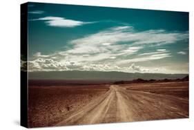 Empty Rural Road Going Through Prairie under Cloudy Sky in Charyn Canyon-Im Perfect Lazybones-Stretched Canvas