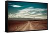 Empty Rural Road Going Through Prairie under Cloudy Sky in Charyn Canyon-Im Perfect Lazybones-Framed Stretched Canvas