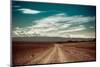 Empty Rural Road Going Through Prairie under Cloudy Sky in Charyn Canyon-Im Perfect Lazybones-Mounted Photographic Print
