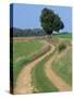 Empty Rural Road or Farm Track in Agricultural Land, Picardie, France, Europe-Thouvenin Guy-Stretched Canvas