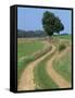 Empty Rural Road or Farm Track in Agricultural Land, Picardie, France, Europe-Thouvenin Guy-Framed Stretched Canvas