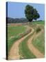 Empty Rural Road or Farm Track in Agricultural Land, Picardie, France, Europe-Thouvenin Guy-Stretched Canvas