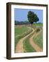 Empty Rural Road or Farm Track in Agricultural Land, Picardie, France, Europe-Thouvenin Guy-Framed Photographic Print