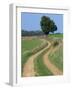 Empty Rural Road or Farm Track in Agricultural Land, Picardie, France, Europe-Thouvenin Guy-Framed Photographic Print