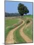 Empty Rural Road or Farm Track in Agricultural Land, Picardie, France, Europe-Thouvenin Guy-Mounted Photographic Print