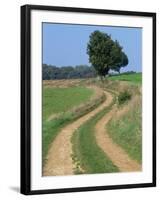 Empty Rural Road or Farm Track in Agricultural Land, Picardie, France, Europe-Thouvenin Guy-Framed Photographic Print