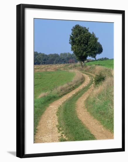 Empty Rural Road or Farm Track in Agricultural Land, Picardie, France, Europe-Thouvenin Guy-Framed Photographic Print