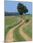 Empty Rural Road or Farm Track in Agricultural Land, Picardie, France, Europe-Thouvenin Guy-Mounted Photographic Print