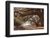 Empty Rustic Wooden Swing Hanging by Rope on Large Live Oak Tree Branch in the Countryside at a Far-Lindsay Helms-Framed Photographic Print