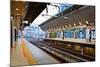 Empty Shinkansen Platform-coward_lion-Mounted Photographic Print