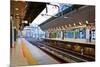 Empty Shinkansen Platform-coward_lion-Mounted Photographic Print