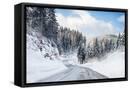 Canvas Black