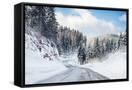 Canvas Black