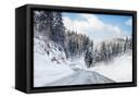 Canvas Black