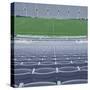 Empty Soccer Field-David Madison-Stretched Canvas