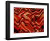 Empty Spaces-Ruth Palmer-Framed Art Print