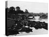 Empty Thames Punts-null-Stretched Canvas