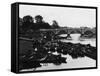 Empty Thames Punts-null-Framed Stretched Canvas