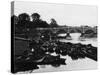 Empty Thames Punts-null-Stretched Canvas