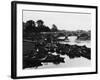 Empty Thames Punts-null-Framed Photographic Print