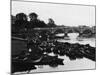 Empty Thames Punts-null-Mounted Photographic Print