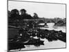 Empty Thames Punts-null-Mounted Photographic Print