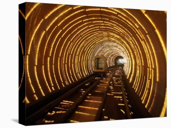 Empty Tourist Subway Car Runs Through Illuminated Tunnel in Shanghai, China-null-Stretched Canvas