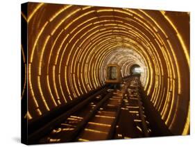 Empty Tourist Subway Car Runs Through Illuminated Tunnel in Shanghai, China-null-Stretched Canvas