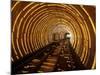 Empty Tourist Subway Car Runs Through Illuminated Tunnel in Shanghai, China-null-Mounted Photographic Print