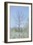 Empty Tree in Field-null-Framed Photographic Print