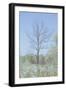 Empty Tree in Field-null-Framed Photographic Print