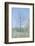 Empty Tree in Field-null-Framed Photographic Print