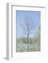 Empty Tree in Field-null-Framed Photographic Print