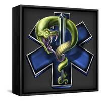EMS Star of Life With Snake-FlyLand Designs-Framed Stretched Canvas