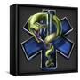 EMS Star of Life With Snake-FlyLand Designs-Framed Stretched Canvas