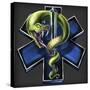 EMS Star of Life With Snake-FlyLand Designs-Stretched Canvas