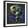 EMS Star of Life With Snake-FlyLand Designs-Framed Giclee Print