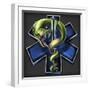 EMS Star of Life With Snake-FlyLand Designs-Framed Giclee Print