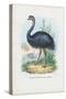 Emu, 1863-79-Raimundo Petraroja-Stretched Canvas