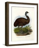 Emu, 1864-null-Framed Giclee Print