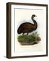 Emu, 1864-null-Framed Giclee Print