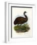 Emu, 1864-null-Framed Giclee Print