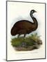 Emu, 1864-null-Mounted Giclee Print