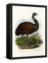 Emu, 1864-null-Framed Stretched Canvas
