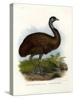 Emu, 1864-null-Stretched Canvas